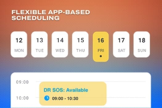 Flexible App-based Scheduling